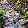 Recycling Hub handles Dry Waste